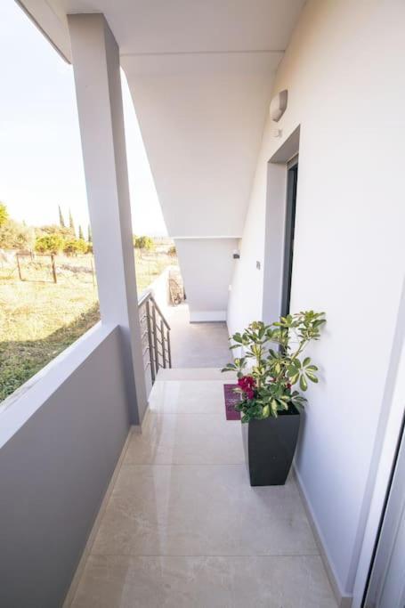Over The Horizon 3 Bedroom Apartment Nafplio Eksteriør billede